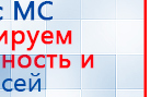 Пояс электрод купить в Брянске, Электроды Меркурий купить в Брянске, Нейродэнс ПКМ официальный сайт - denasdevice.ru